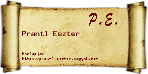 Prantl Eszter névjegykártya